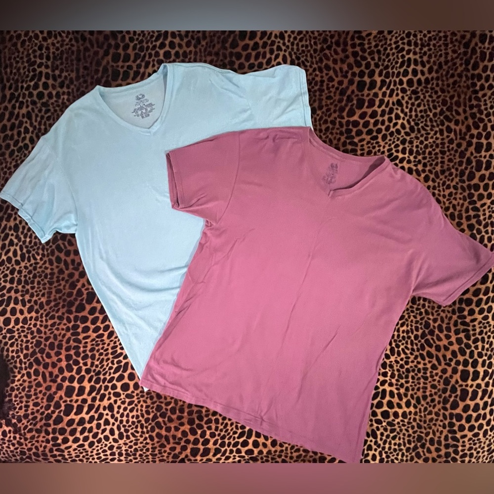 Fruit of the Loom Platinum v-neck T-shirts LG (blue & purple)